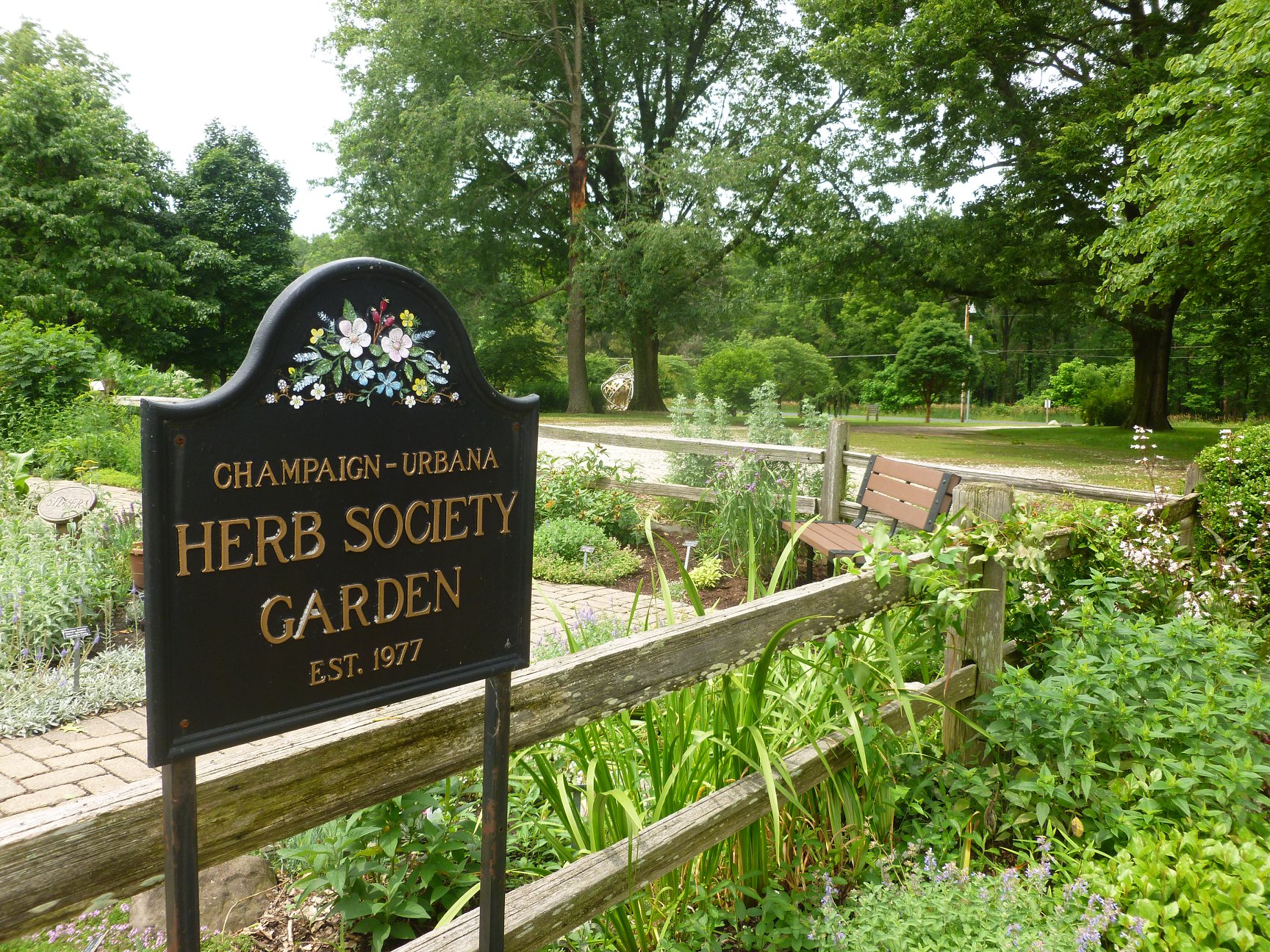 Everyday Uses for Medicinal Plants & How to Grow Them