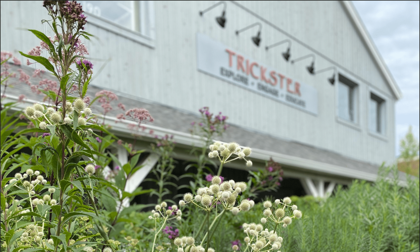 Healing Plants: Native American Connections to Nature for Health and Healing