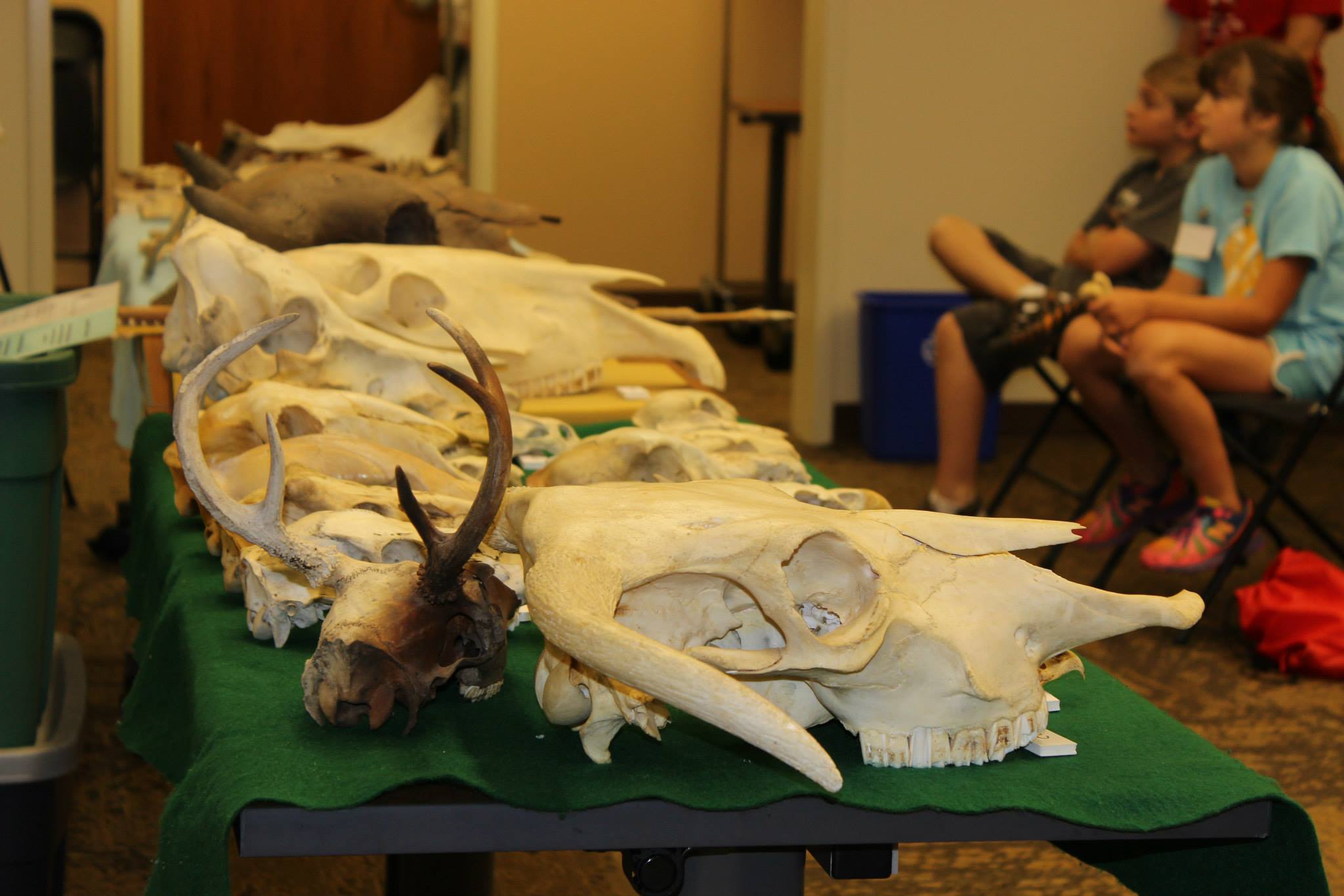 Explore Archaeology Open House