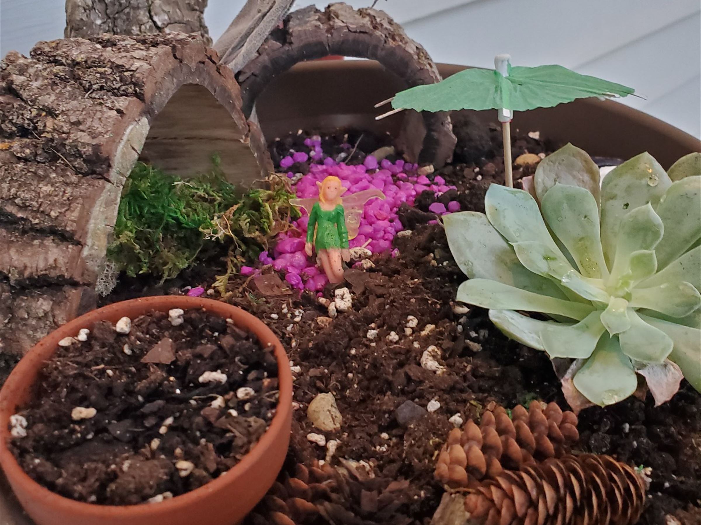 Gnome Homes and Mystical Creatures Miniature Garden