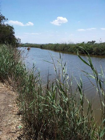 Wonders of the Wetland with Doug Mills