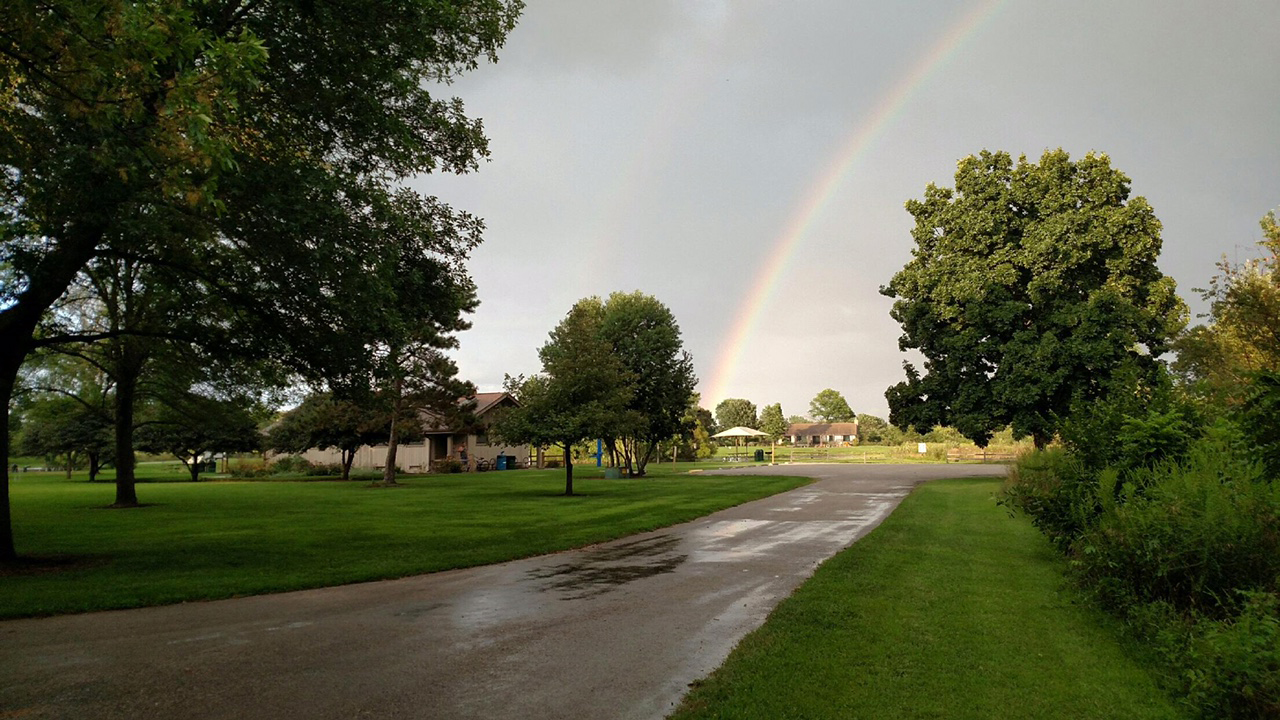 Walk with a Naturalist