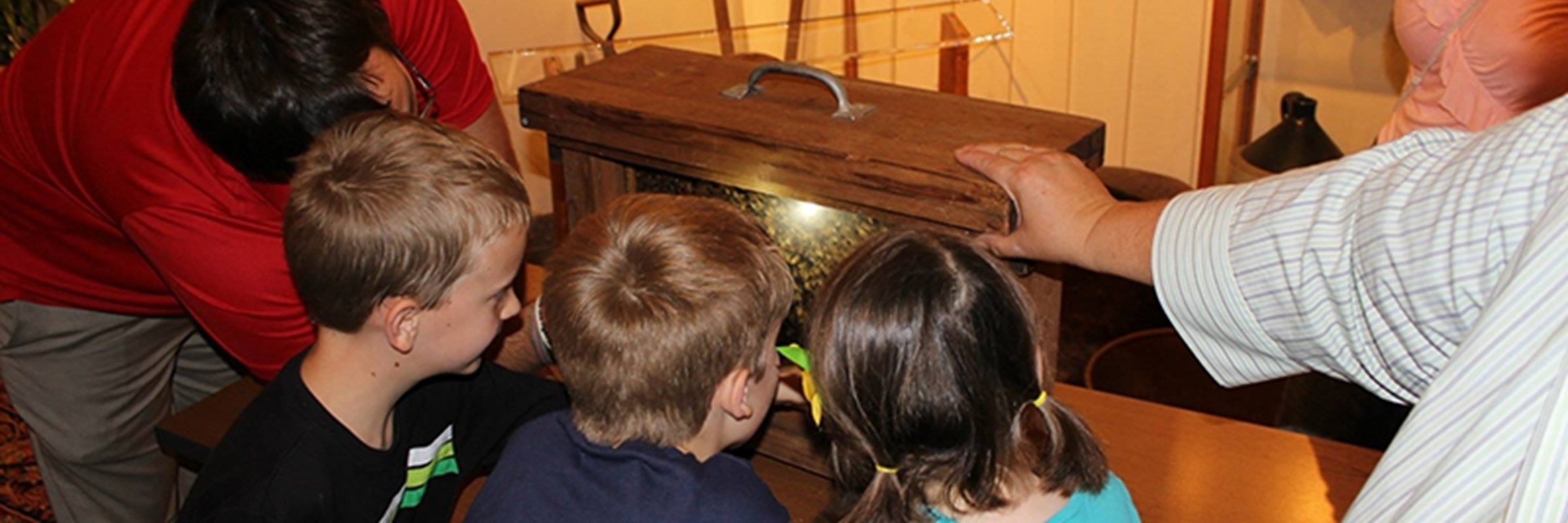Kids Can Learn to Go Green at Museum Monday