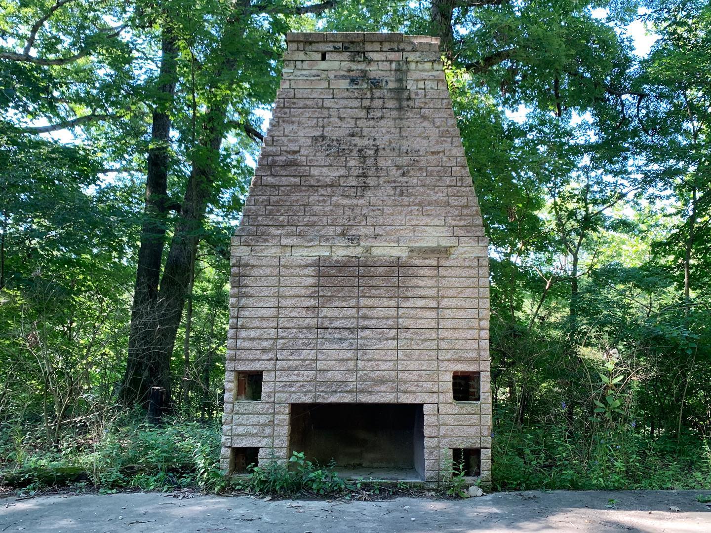 Walk with a Naturalist