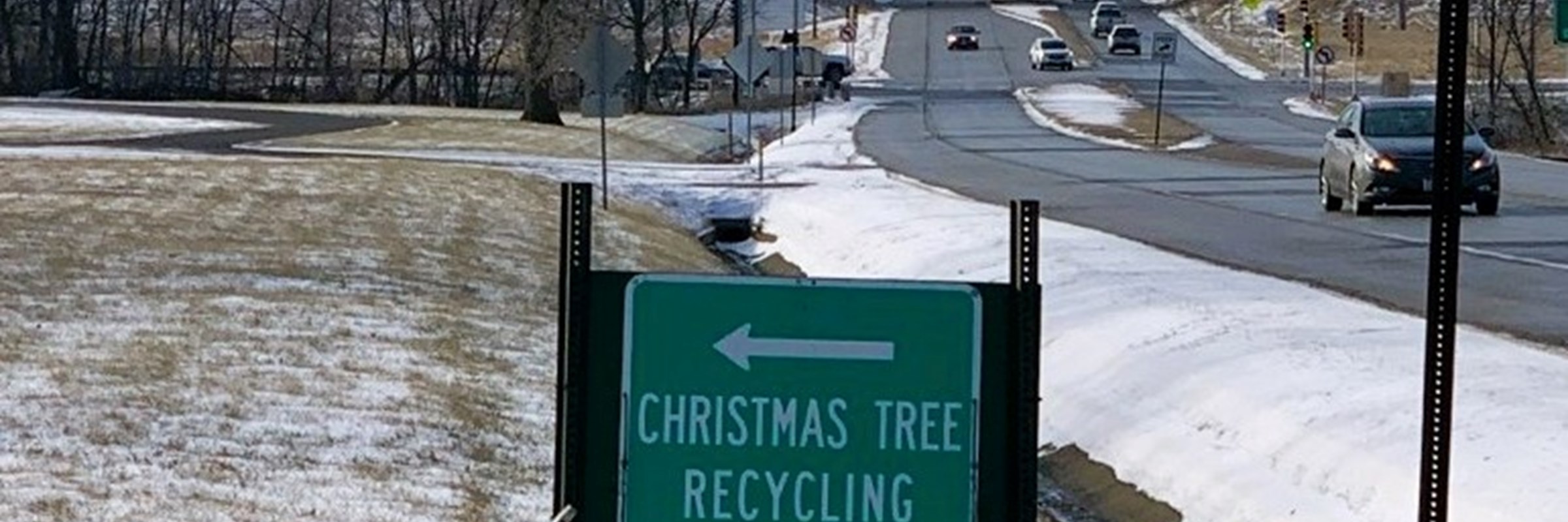 Sustainability during the Holidays