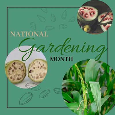image National Gardening Month