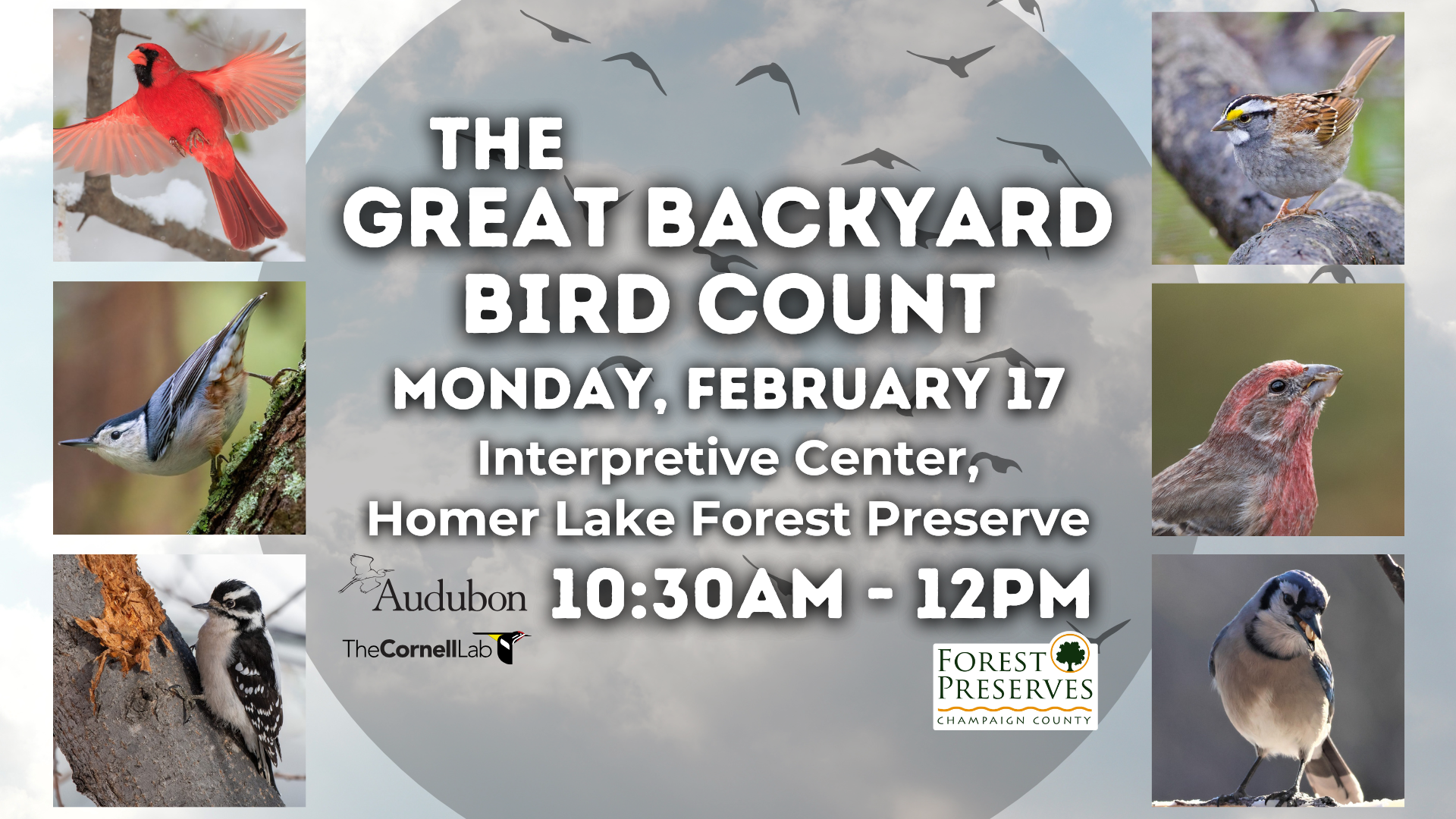 The Great Backyard Bird Count