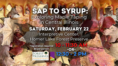 image Sap to Syrup: Exploring Maple Tapping in Central Illinois (AM Session)