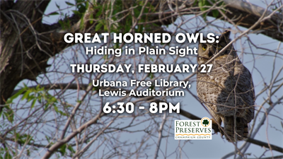 image Great Horned Owls: Hiding in Plain Sight