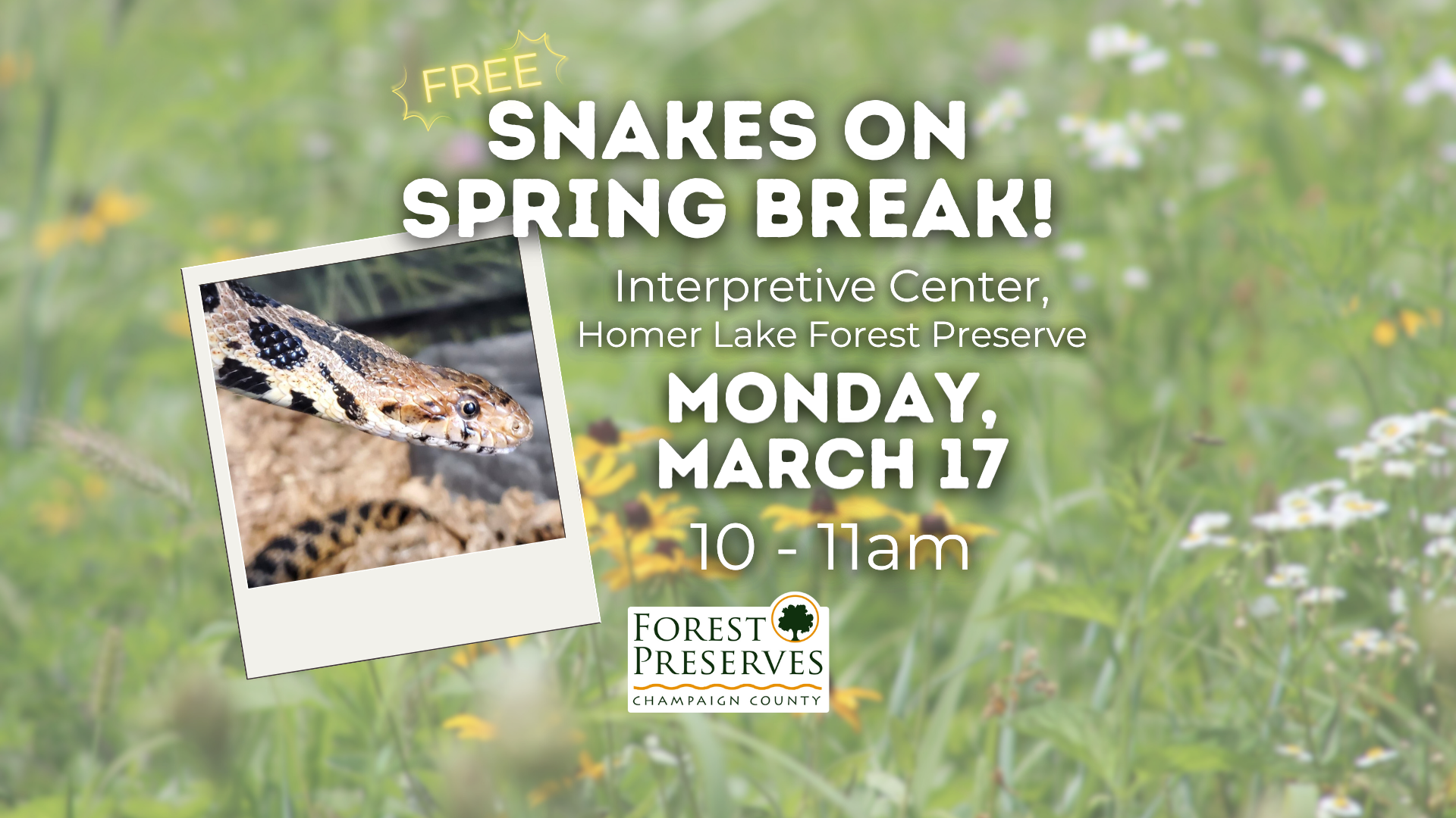 SNAKES ON SPRING BREAK!