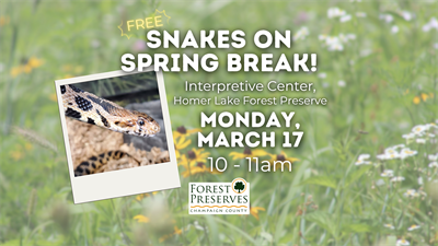 image SNAKES ON SPRING BREAK!