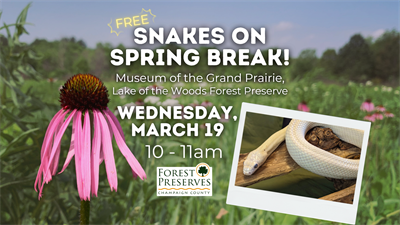 image SNAKES ON SPRING BREAK!