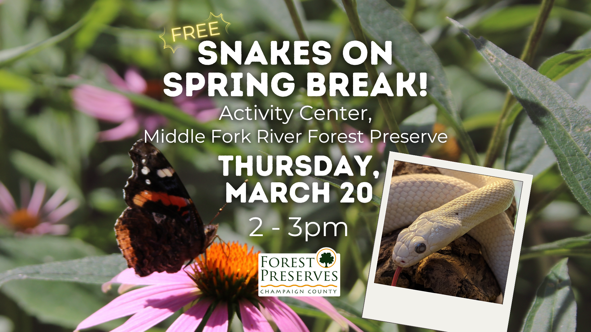 SNAKES ON SPRING BREAK!