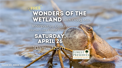 image WONDERS OF THE WETLAND WITH DOUG MILLS