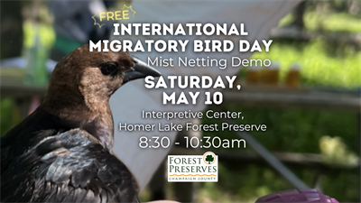 image INTERNATIONAL MIGRATORY BIRD DAY- MIST NETTING DEMO