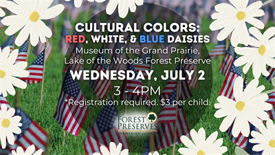 image CULTURAL COLORS: RED, WHITE, & BLUE DAISIES