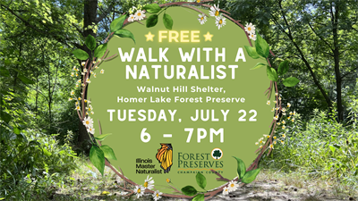 image WALK WITH A NATURALIST