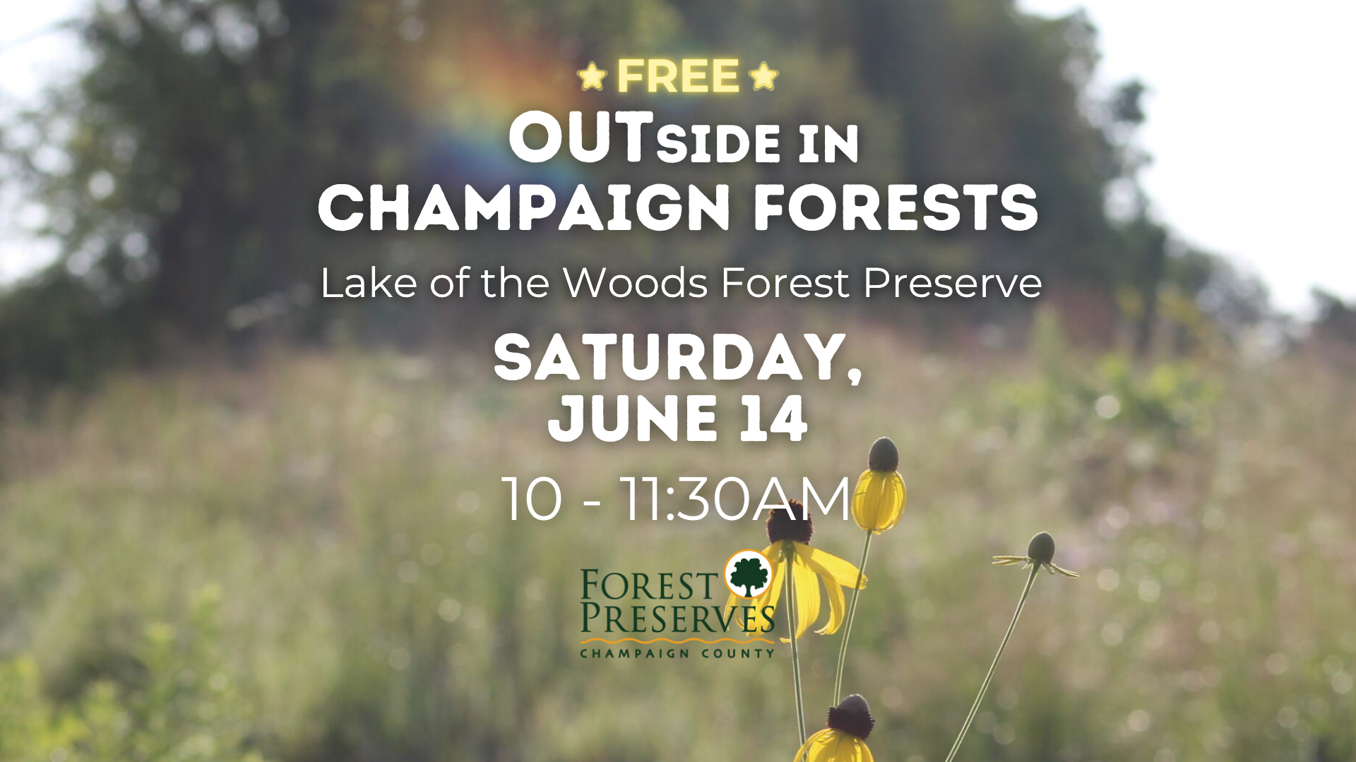 OUTSIDE IN CHAMPAIGN FORESTS