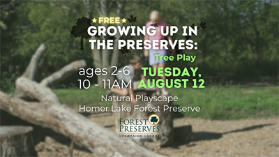 image GROWING UP IN THE PRESERVES: TREE PLAY
