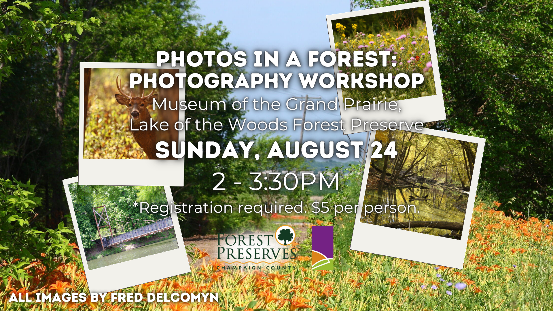 PHOTOS IN A FOREST: A PHOTOGRAPHY WORKSHOP