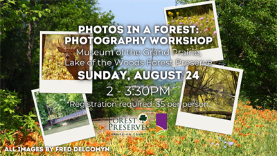 image PHOTOS IN A FOREST: A PHOTOGRAPHY WORKSHOP