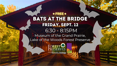 image BATS AT THE BRIDGE