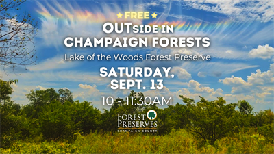 image OUTSIDE IN CHAMPAIGN FORESTS: LAKE OF THE WOODS