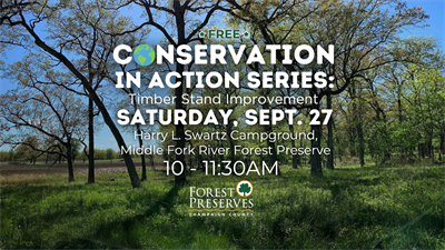 image CONSERVATION IN ACTION SERIES: TIMBER STAND IMPROVEMENT