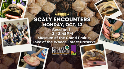 image SCALY ENCOUNTERS