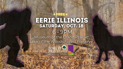 image EERIE ILLINOIS