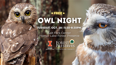 image OWL NIGHT