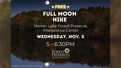 image FULL MOON HIKE