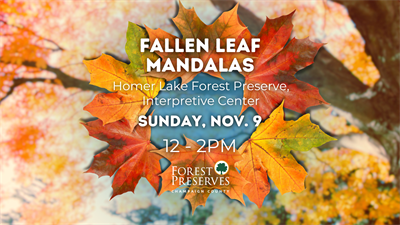 image FALLEN LEAF MANDALAS