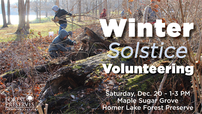 image WINTER SOLSTICE VOLUNTEERING