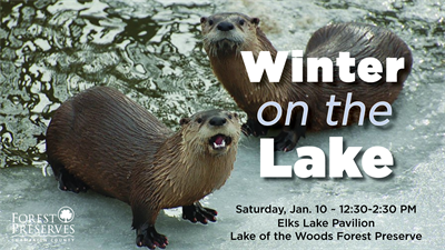 image WINTER ON THE LAKE