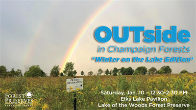 image OUTSIDE IN CHAMPAIGN FORESTS