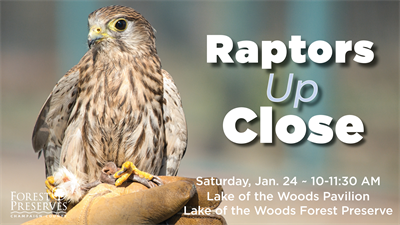 image RAPTORS UP CLOSE