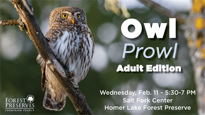 image OWL PROWL: ADULT EDITION
