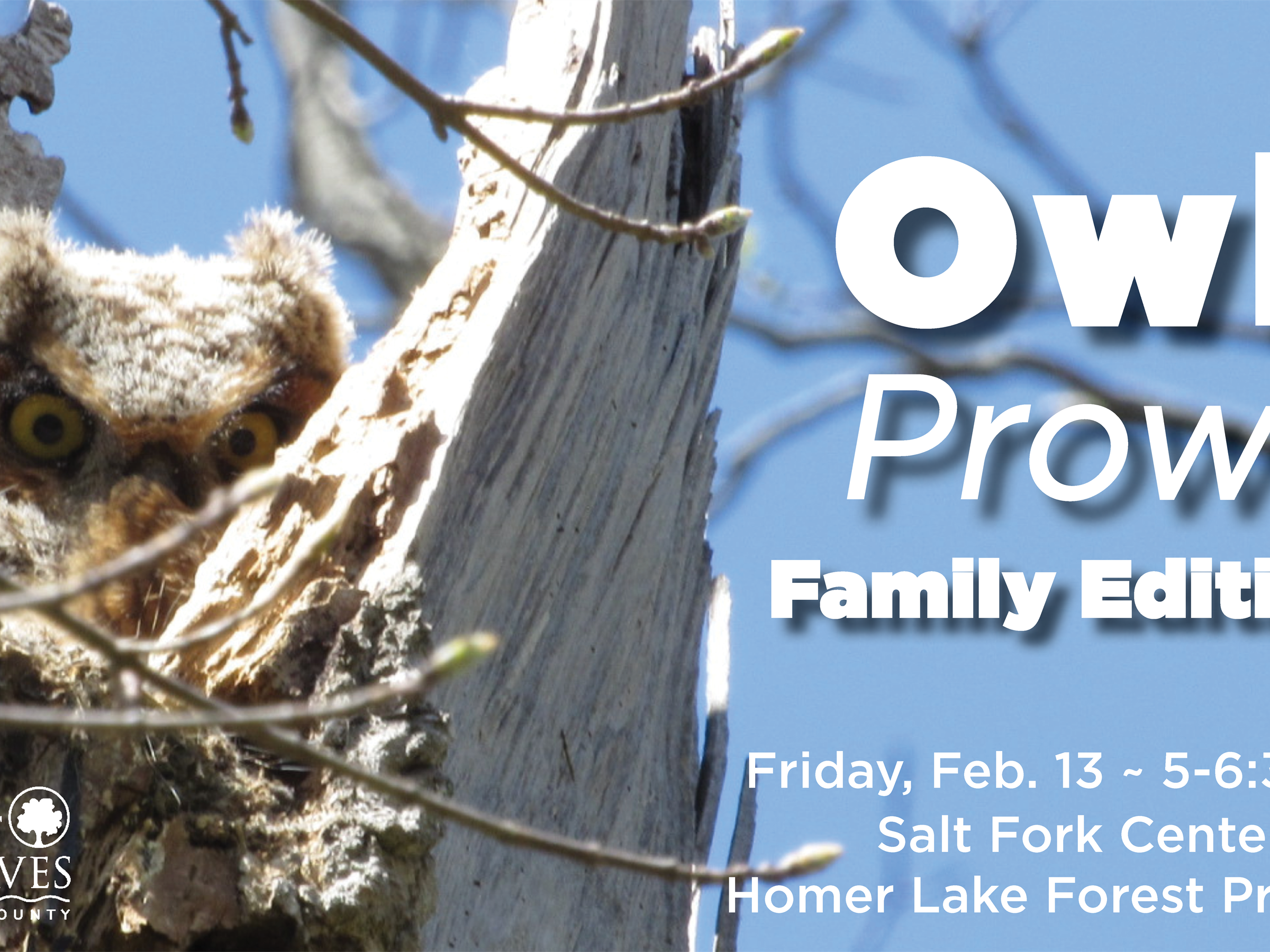 OWL PROWL: FAMILY EDITION