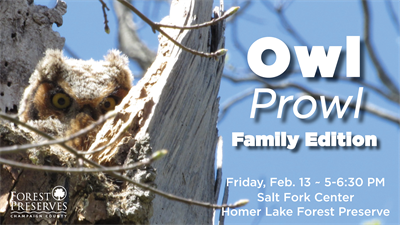 image OWL PROWL: FAMILY EDITION