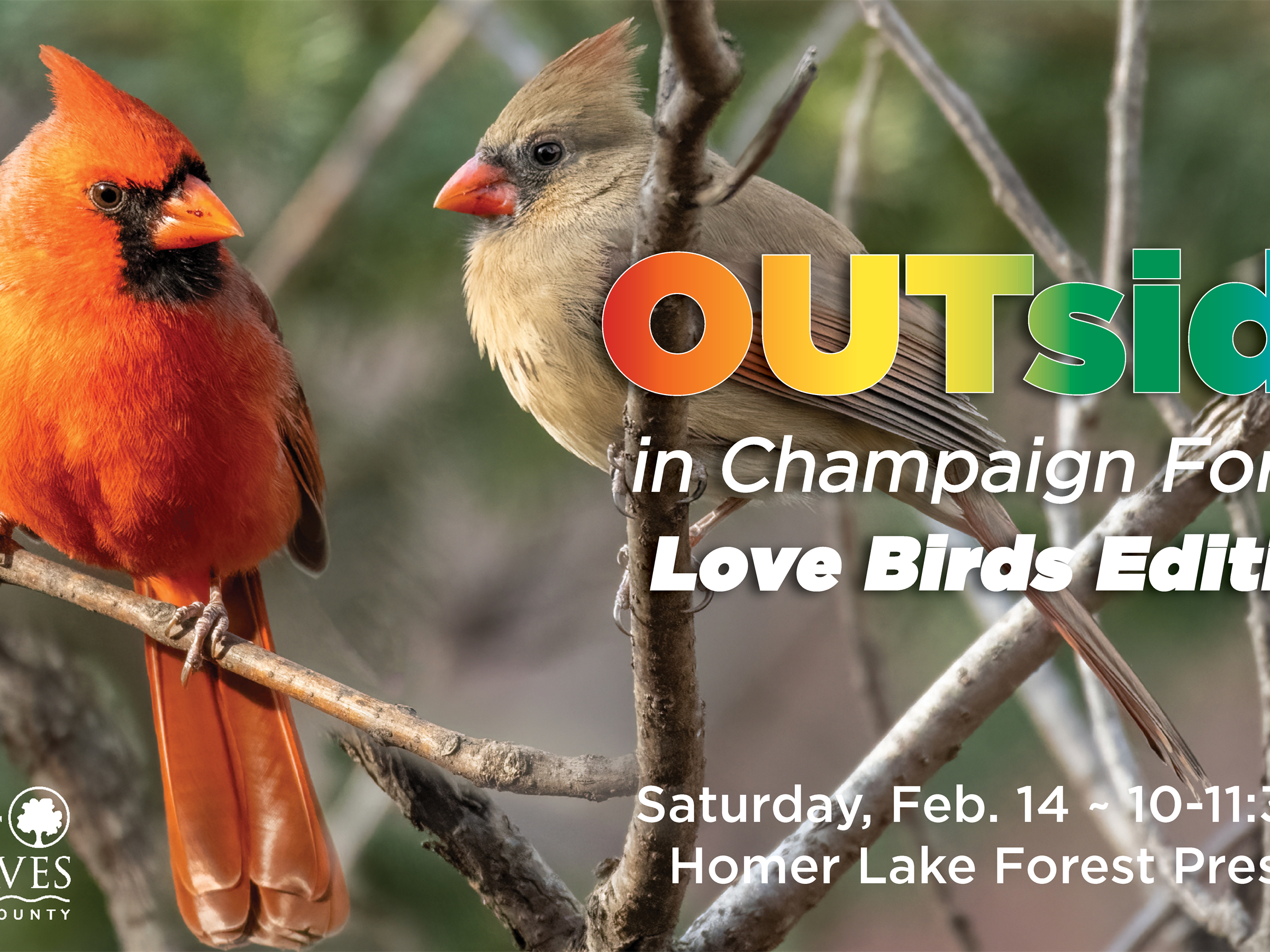 OUTSIDE IN CHAMPAIGN FORESTS- LOVE BIRDS EDITION