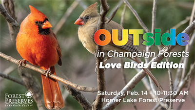 image OUTSIDE IN CHAMPAIGN FORESTS- LOVE BIRDS EDITION