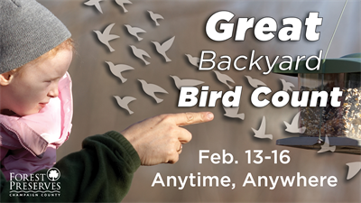 image GREAT BACKYARD BIRD COUNT