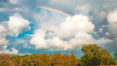 image OUTSIDE IN CHAMPAIGN FORESTS: BUFFALO TRACE PRAIRIE