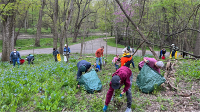 image EARTH DAY VOLUNTEER STEWARDSHIP