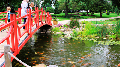 image POP UP: GARDEN SPEAKER SERIES: BOTANICAL GARDEN TOUR