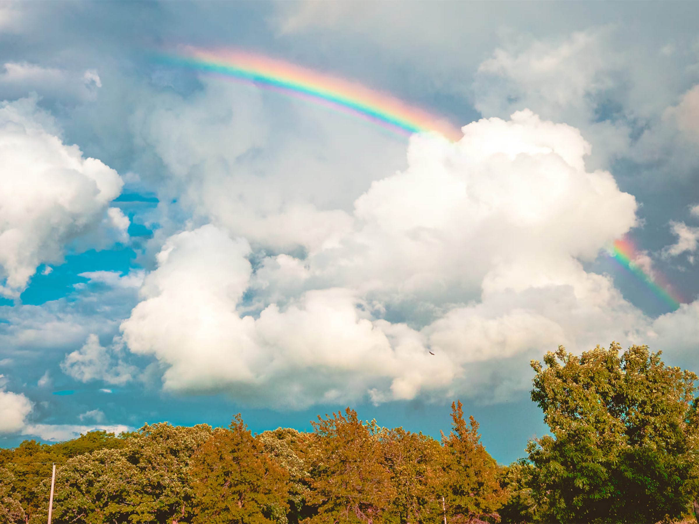 OUTSIDE IN CHAMPAIGN FORESTS: LAKE OF THE WOODS