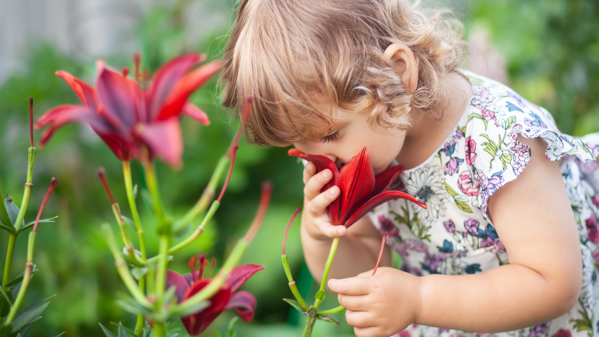 GROWING UP IN THE PRESERVES: SPRING FLOWERS