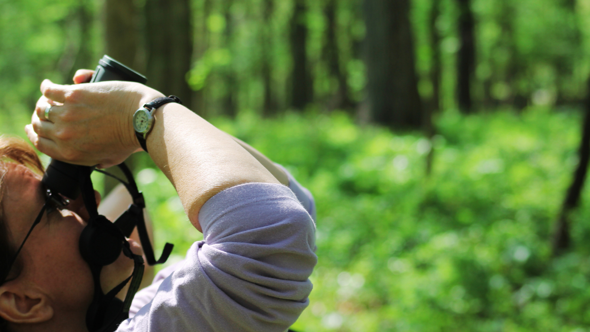 WALK WITH A MASTER NATURALIST