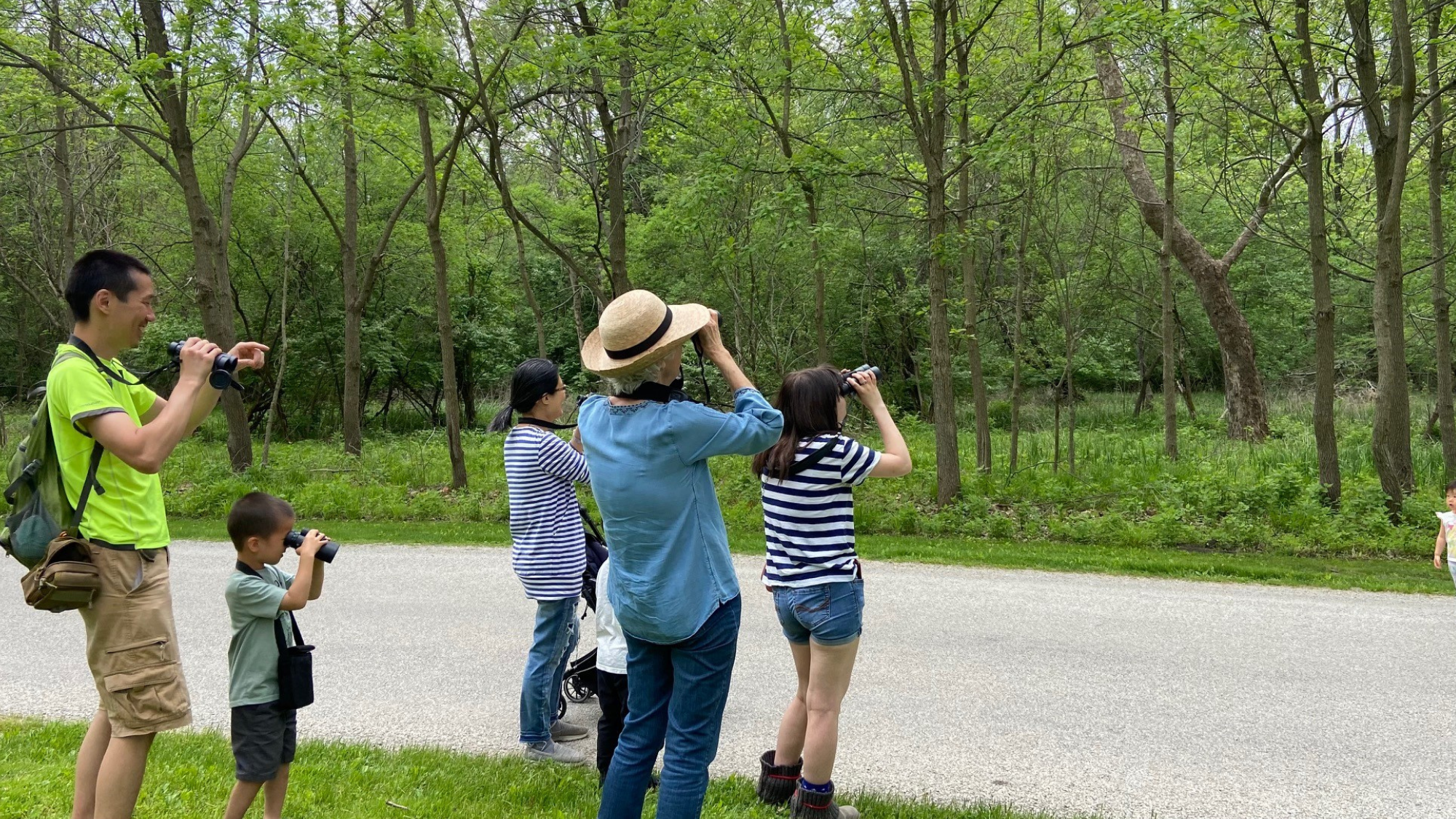 BIRDING FOR BEGINNERS